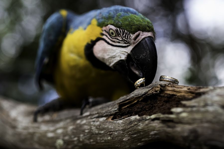 Fotografer pernikahan Pablo Restrepo (pablorestrepo). Foto tanggal 2 Maret 2018