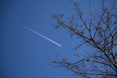 Solcando il blu' di la monella