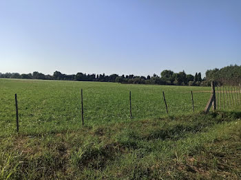 maison neuve à Saint-Martin-de-Crau (13)