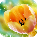 Cover Image of डाउनलोड Tulip Wallpaper 1.0 APK