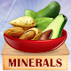 Minerals & Antioxidants Foods Download on Windows