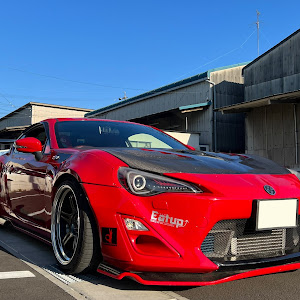 86 ZN6