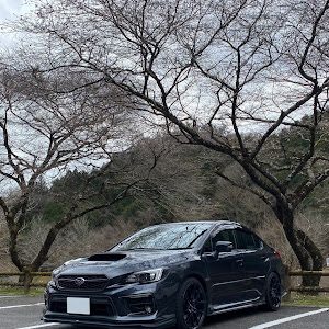 WRX S4 VAG