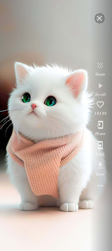 Screenshot Cute Cat Wallpaper HD