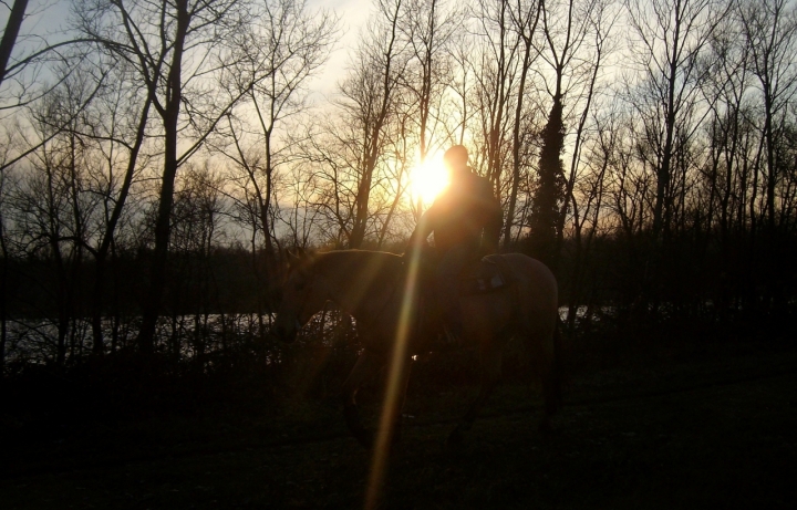 Passeggiata a cavallo di patapam