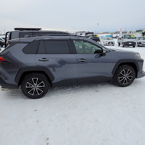 RAV4 AXAP54