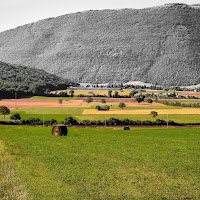 L'armonia naturale di 