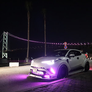 C-HR ZYX10