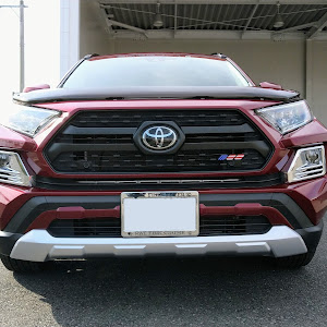 RAV4 MXAA54