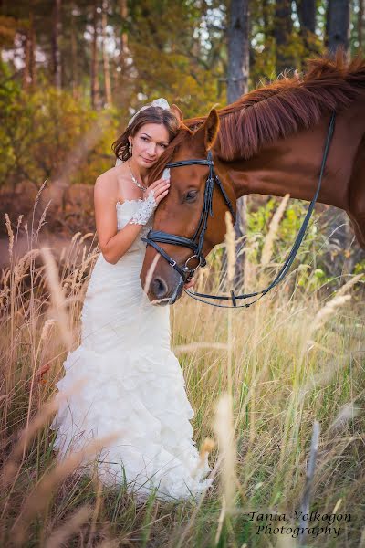 Hochzeitsfotograf Tatyana Volkogon (tvolkogon). Foto vom 7. Januar 2016