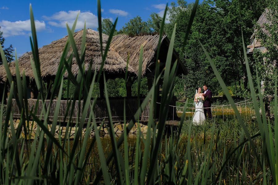 Wedding photographer Fedor Oreshkin (oreshkin). Photo of 24 October 2017