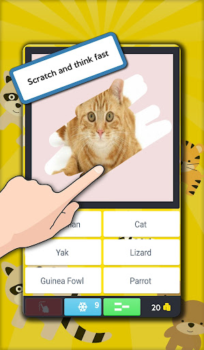 Scratch Animal Quiz. Guess