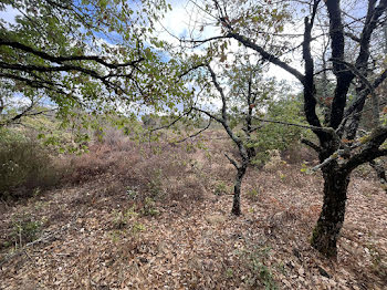 terrain à Brousses-et-Villaret (11)