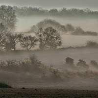 La nebbia della Murgia di 