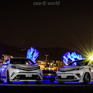 C-HR NGX50