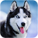 Parler Husky icon