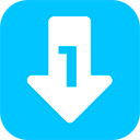 1 Video Downloader