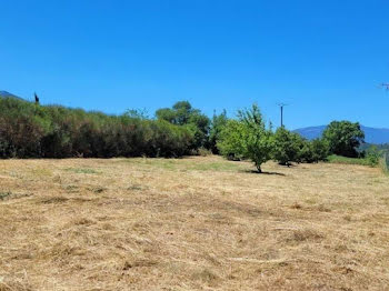 terrain à Ceret (66)