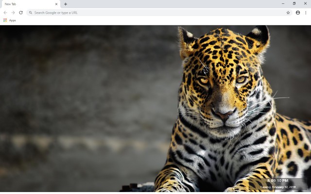 Cheetah New Tab & Wallpapers Collection