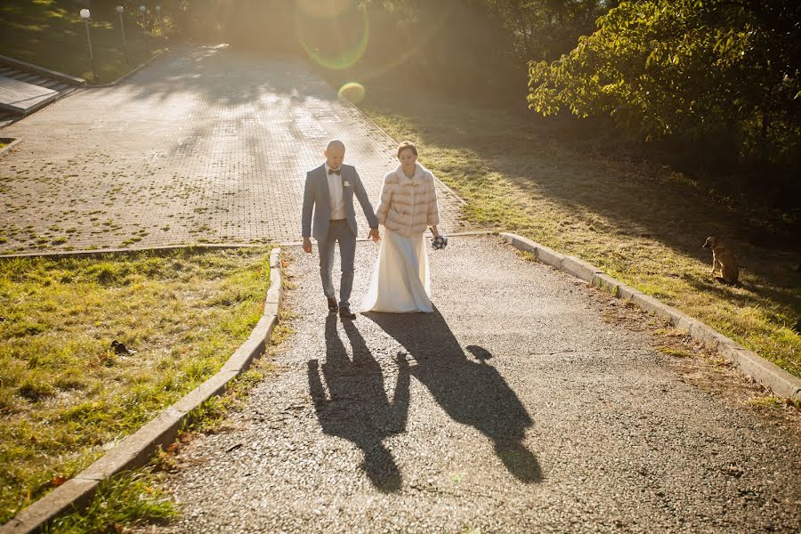 Photographe de mariage Natalya Zhimaeva (zhimaeva). Photo du 11 novembre 2015