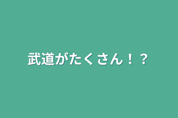 武道がたくさん！？