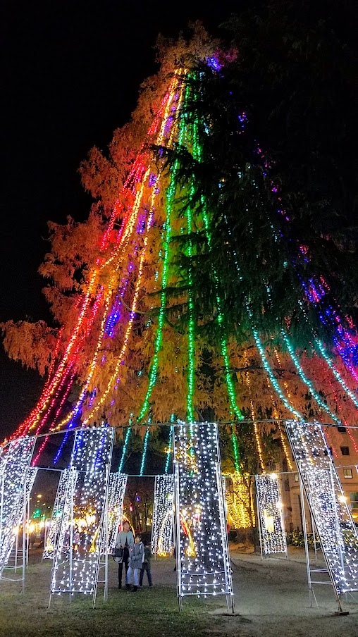 Rainbow Tree area of Hiroshima Dreamination, 2018