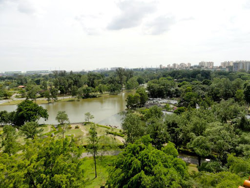 The Chinese Japanese Gardens Singapore2010