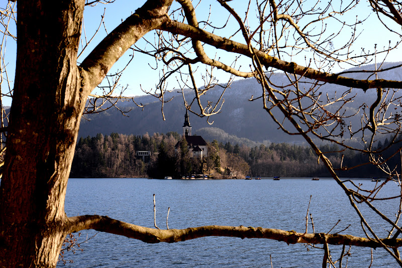 Un'isola fra i rami di mcris