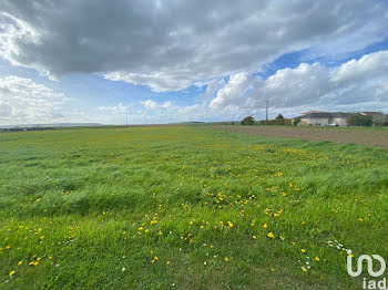 terrain à Val-des-Marais (51)