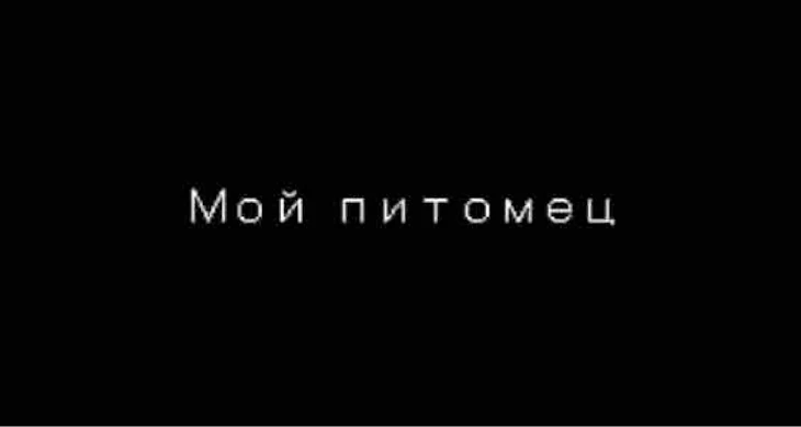 「Мой питомец」のメインビジュアル