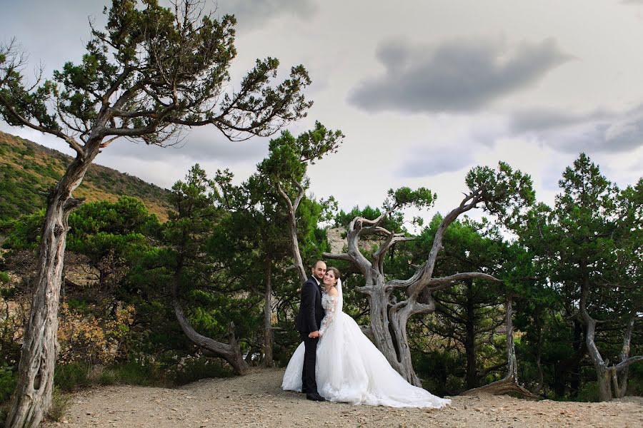 Photographe de mariage Aleksandra Alekseenko (behepa1). Photo du 15 novembre 2018