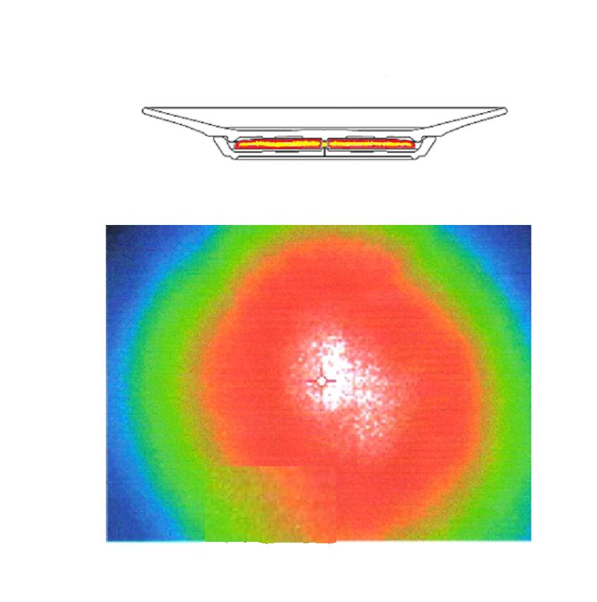 COMBINED THERMOGRAM AND PLATE.jpg