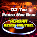 DJ Tak Perlu Kau Beri Alasan R icon