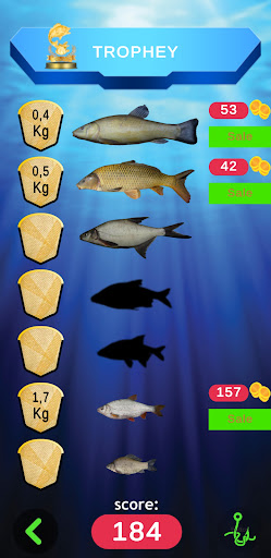 Screenshot Bobber Fishing