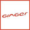 Ginger Hotel, Ajronda, Sector 15 A, Faridabad logo