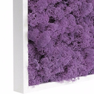Tableau Lichen végétal violet