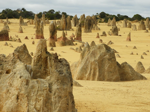 The Pinnacles Desert