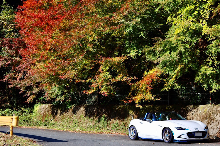 ロードスターの紅葉🍁とコラボ・コロナウイルスに負けるな・two-k・ねこさん達お休み！に関するカスタム事例の投稿画像1枚目