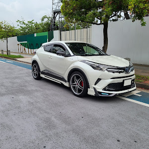 C-HR ZYX10