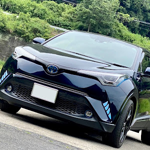 C-HR ZYX10