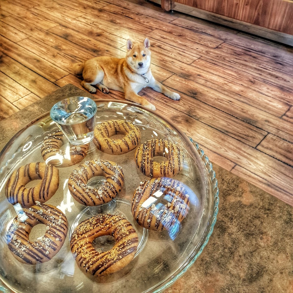 Gluten-Free Donuts at DIVINE Sugar Free Cukrászda