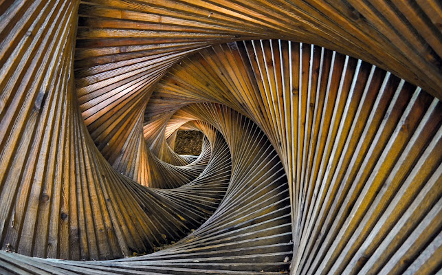 Spirale di Legno di Diana Cimino Cocco