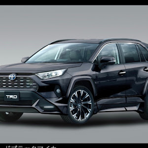 RAV4 AXAH54