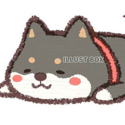 ・w・)」ゃぅ