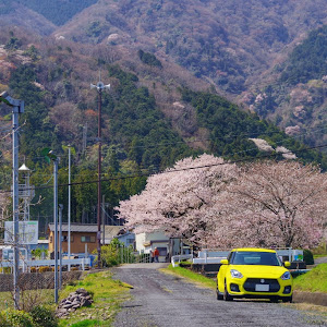 スイフトスポーツ ZC33S