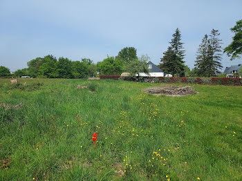 maison neuve à Mecé (35)