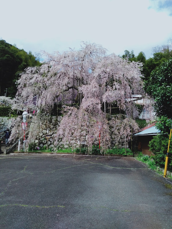 の投稿画像1枚目