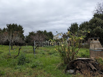 maison à San-Nicolao (2B)