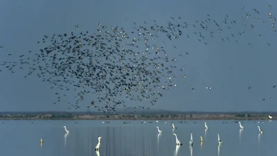 Drugo po veličini slatkovodno jezero u Kini sve veće