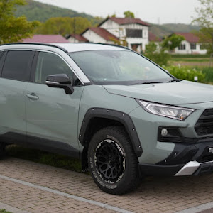 RAV4 AXAP54